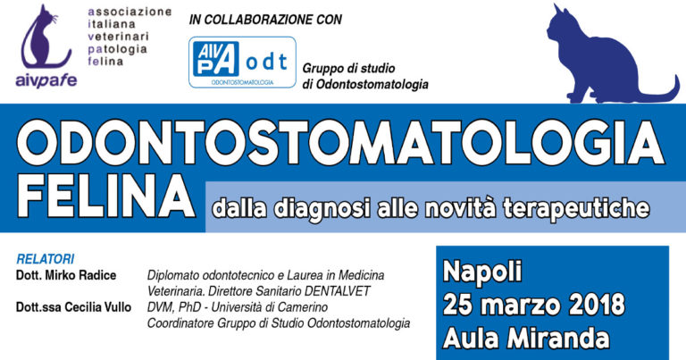 ODONTOSTOMATOLOGIA FELINA: dalla diagnosi alle novità terapeutiche
