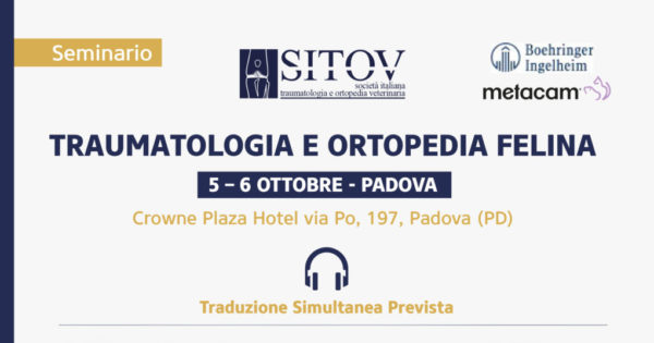 SITOV-programma -traumatologia-ortopedia-felina-1