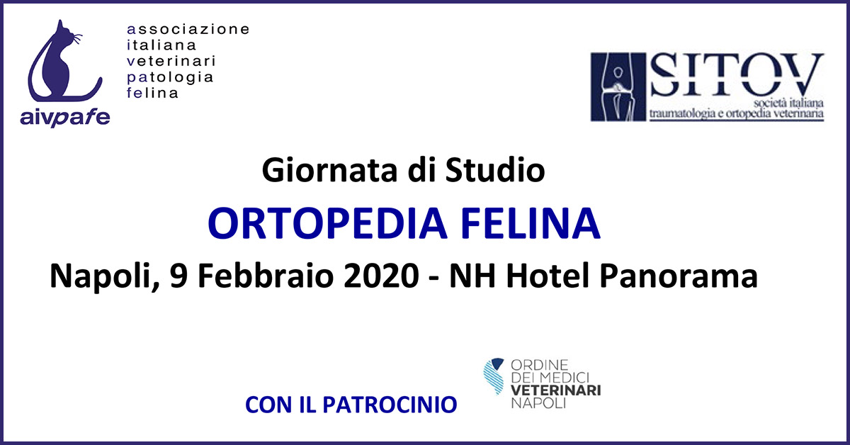AIVPAfe - Giornata di studio - 9 Febbraio 2020 - Napoli