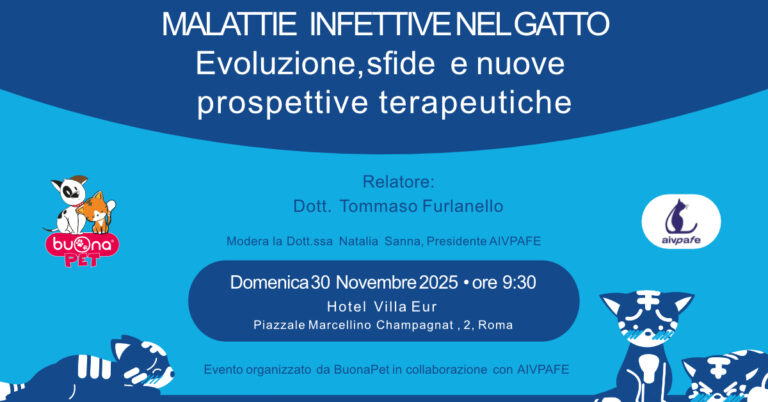 MALATTIE INFETTIVE NEL GATTO: Evoluzione, sfide e nuove prospettive terapeutiche