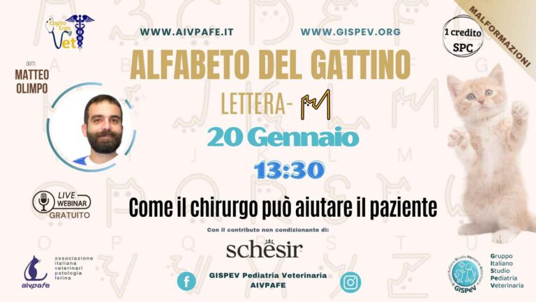 Come il chirurgo può aiutare il paziente