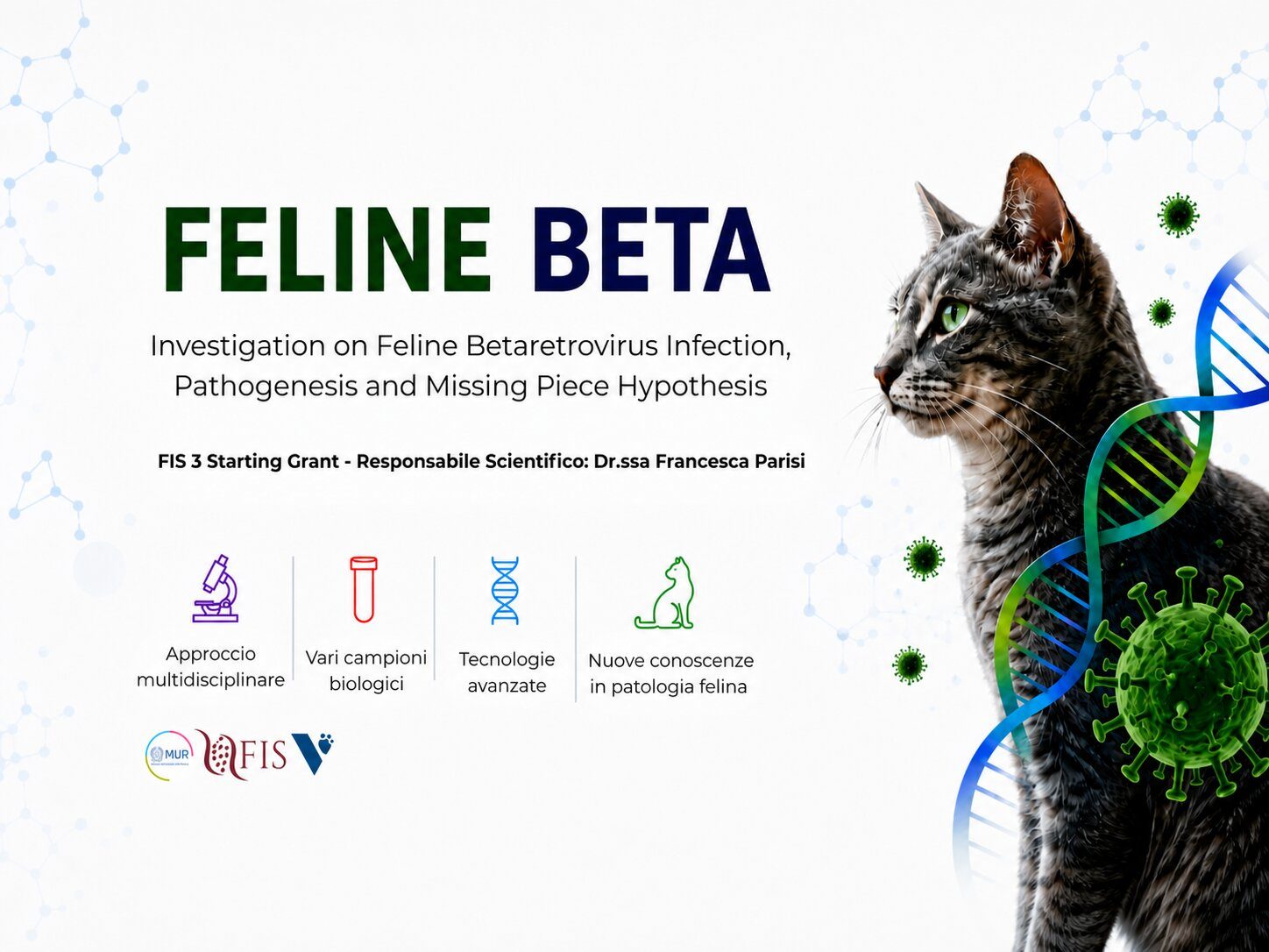 Al via FELINE BETA, progetto FIS 3 dedicato allo studio di un  betaretrovirus nel gatto e coordinato da un medico  veterinario