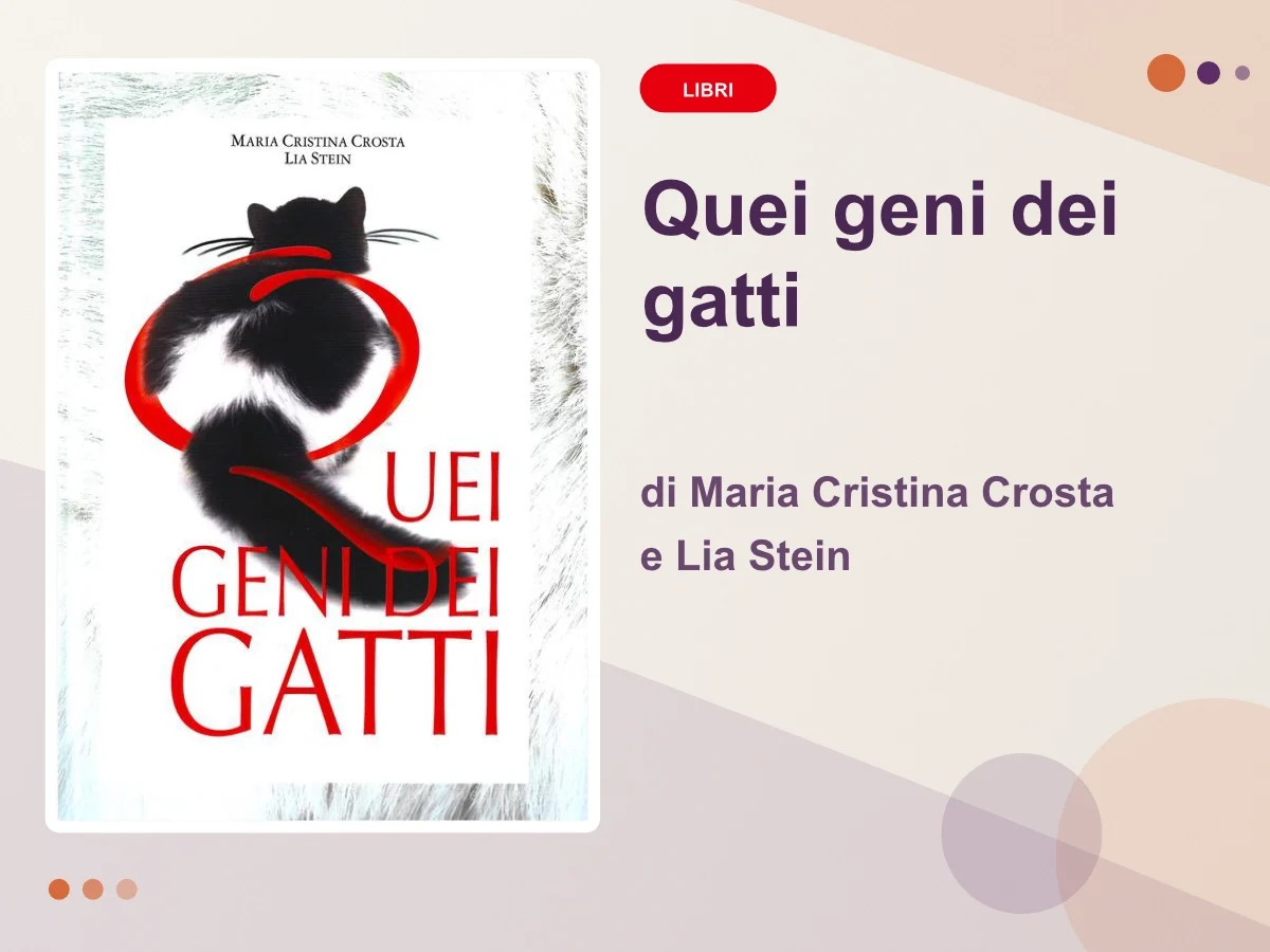 Quei geni dei gatti