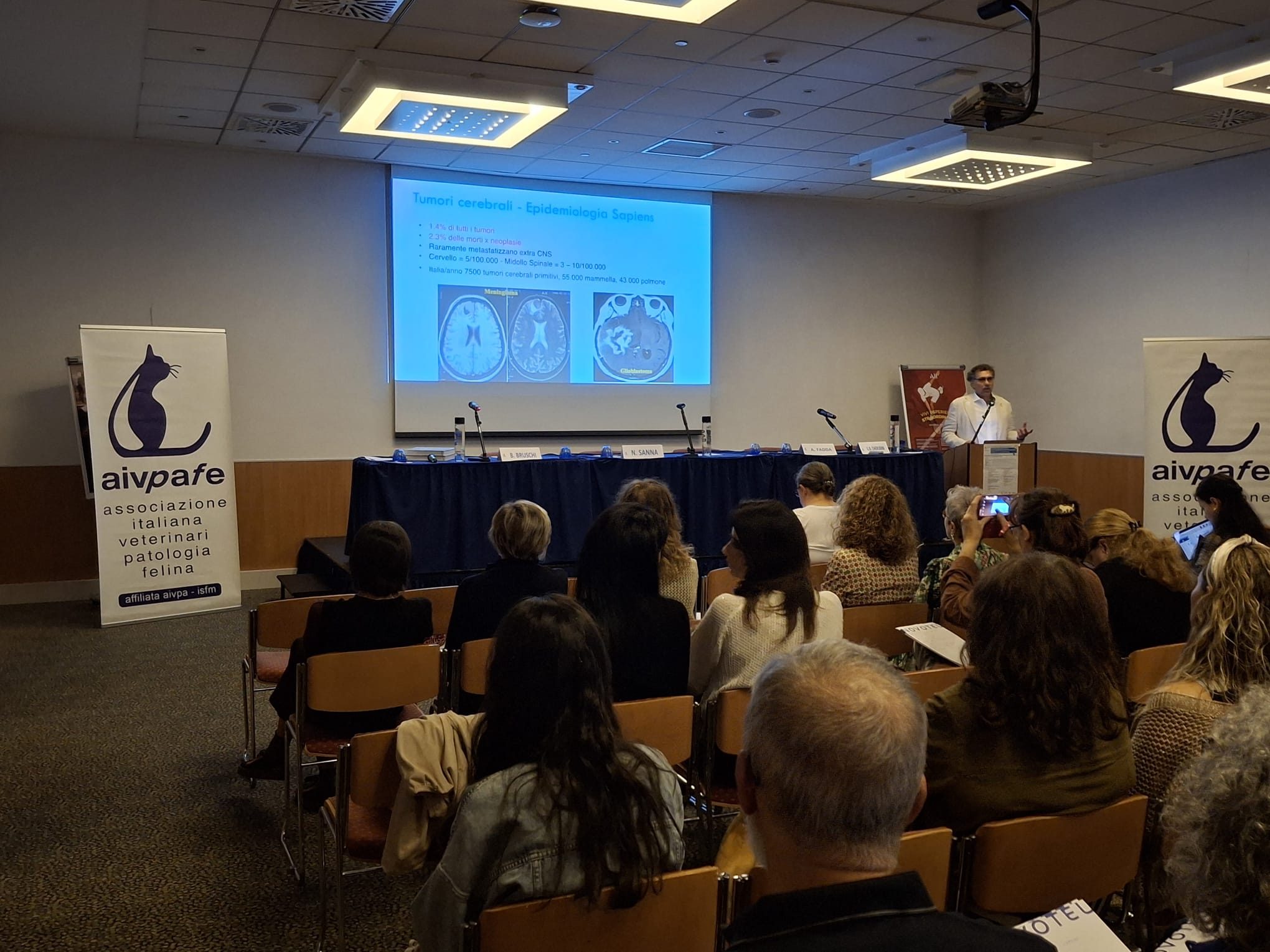 Mestre, 26-27 Settembre 2026 – “Il gatto neurologico per veterinari non neuropatici”