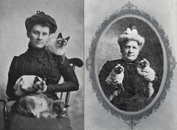 Adele Locke