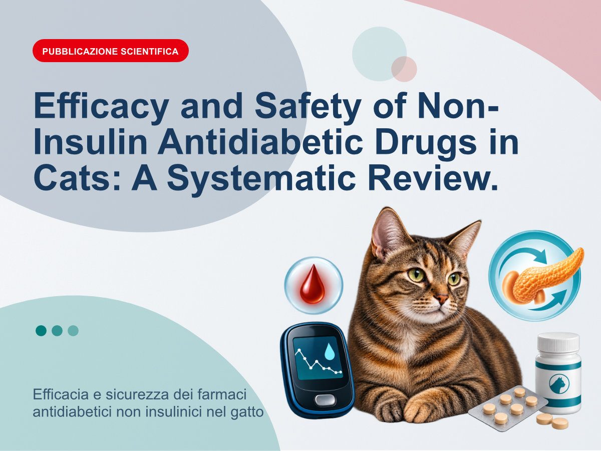 Efficacia e sicurezza dei farmaci antidiabetici non insulinici nel gatto