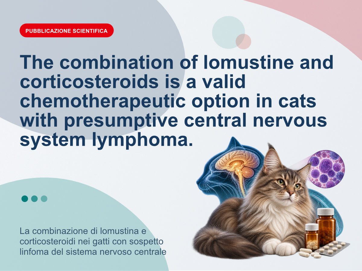 La combinazione di lomustina e corticosteroidi nei gatti con sospetto linfoma del sistema nervoso centrale