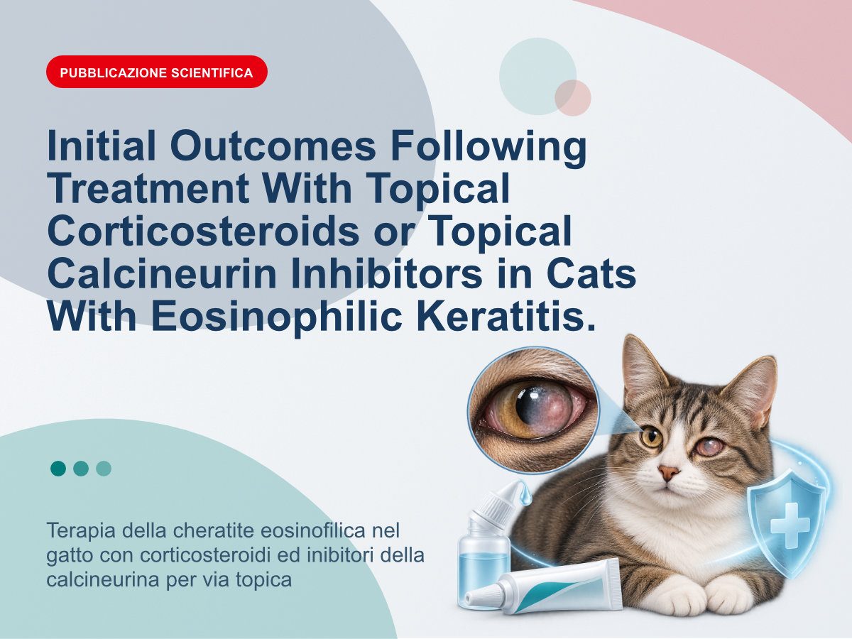 Terapia della cheratite eosinofilica nel gatto con corticosteroidi ed inibitori della calcineurina per via topica