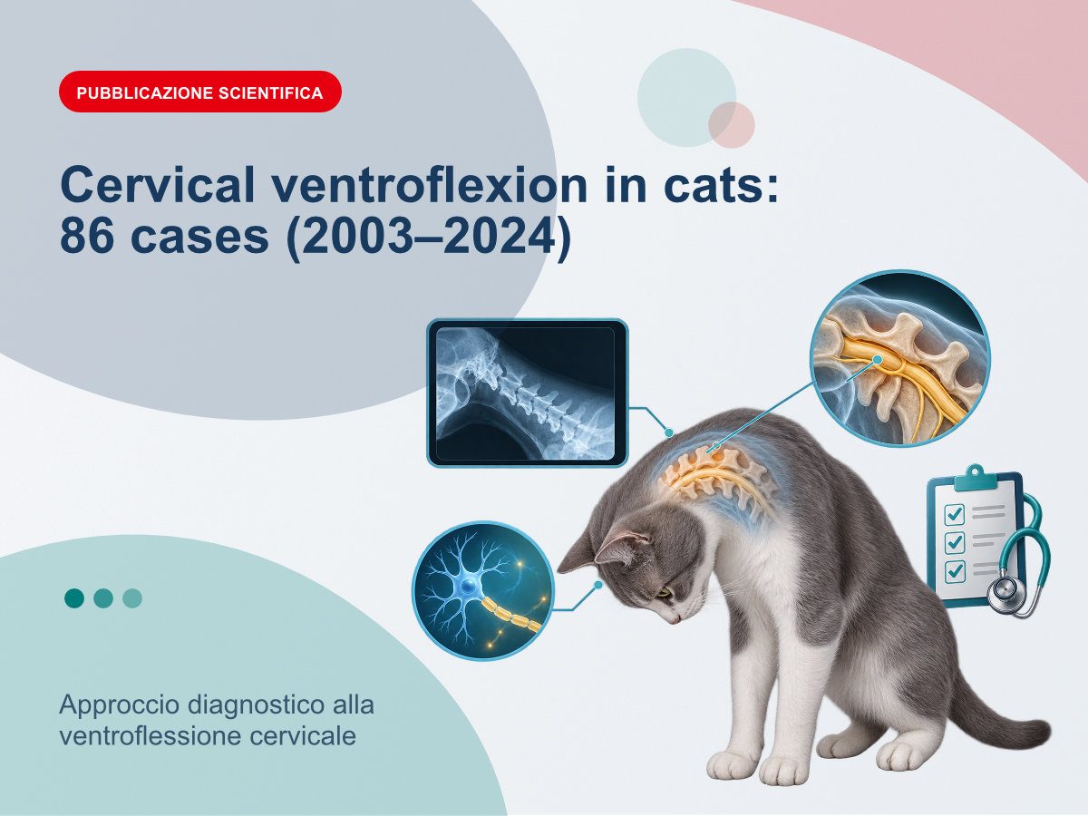 Approccio diagnostico alla ventroflessione cervicale