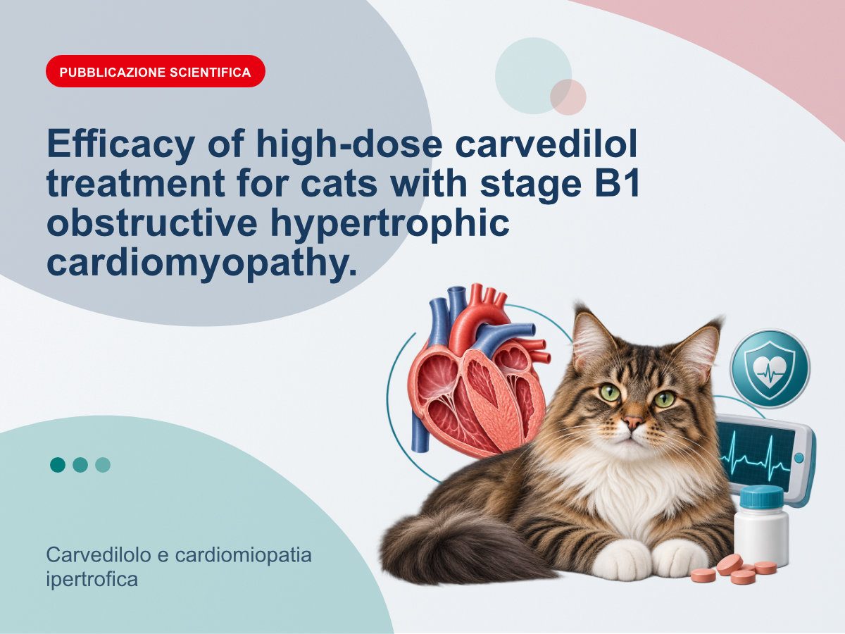 Carvedilolo e cardiomiopatia ipertrofica
