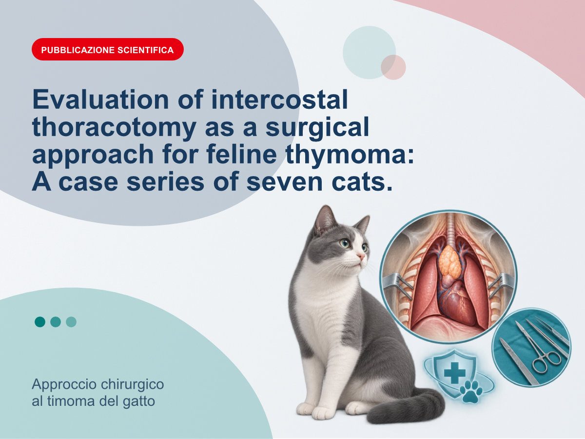 Approccio chirurgico al timoma del gatto