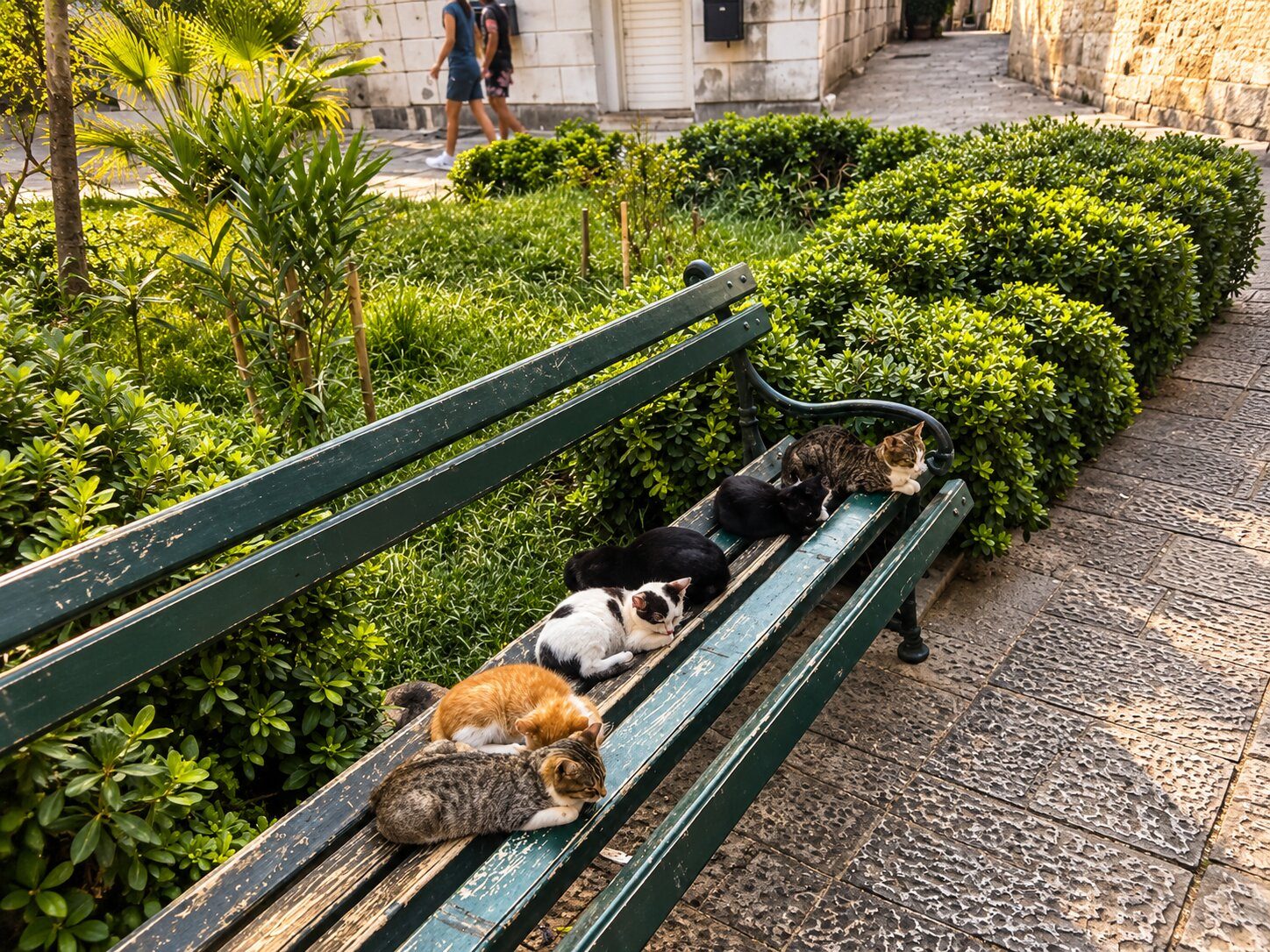 Rete Felina – Una voce unica per i gatti delle nostre città