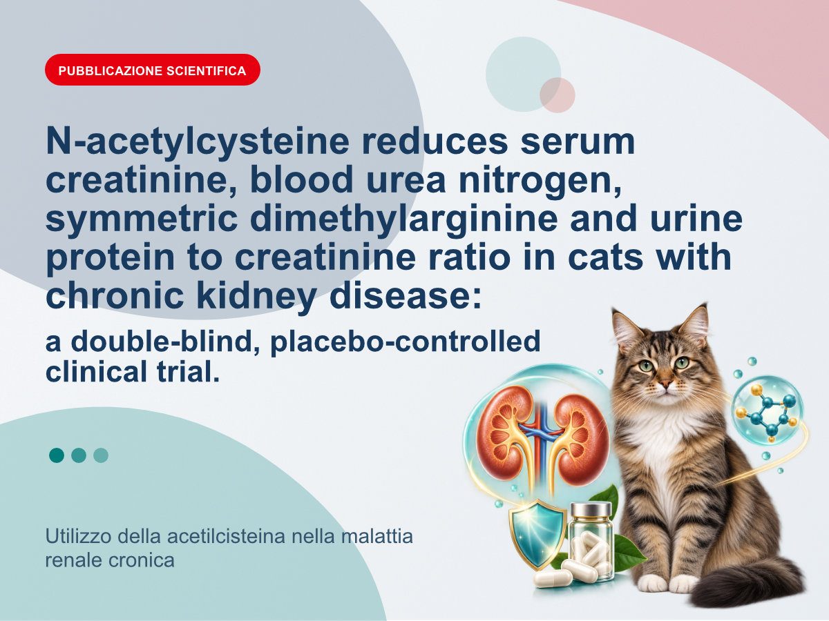 Utilizzo della acetilcisteina nella malattia renale cronica